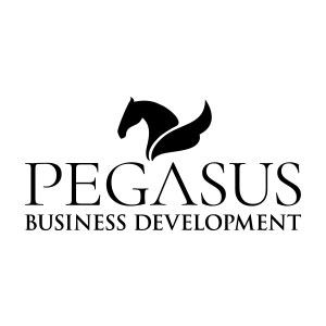 Pegusus Business Development